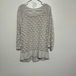 Cj Banks Light Gray Knit Sweater Size 2X